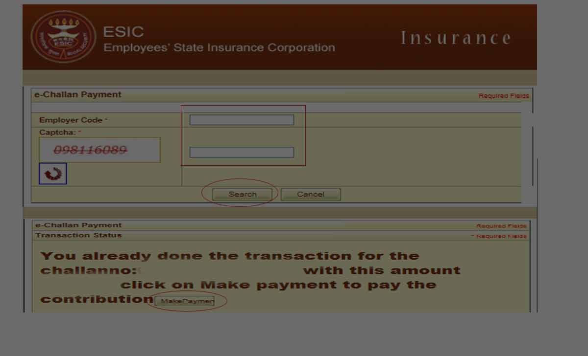 ESI Online Payment