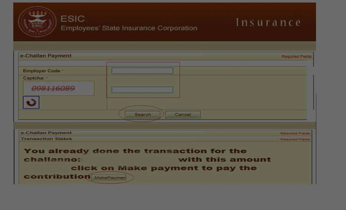 ESI Online Payment