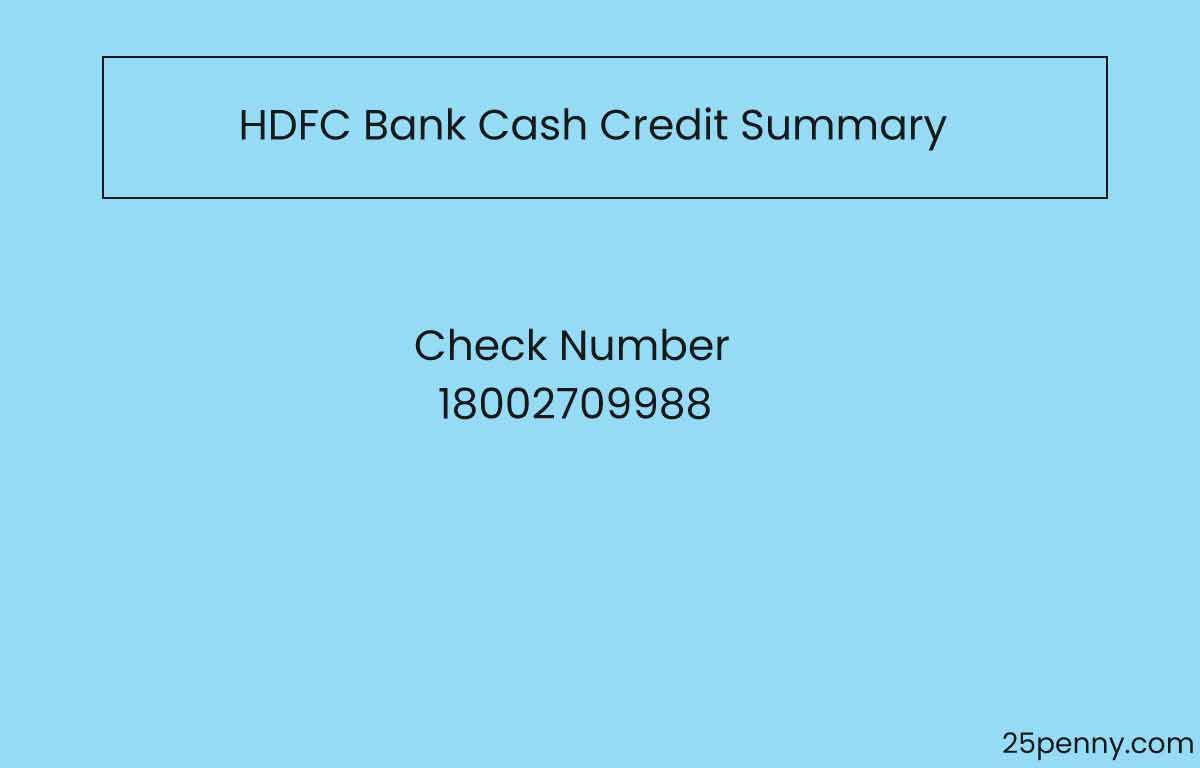 HDFC Bank Cash Credit Summary