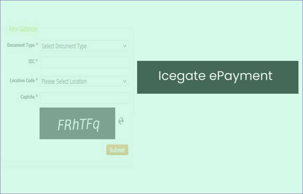 Icegate ePayment