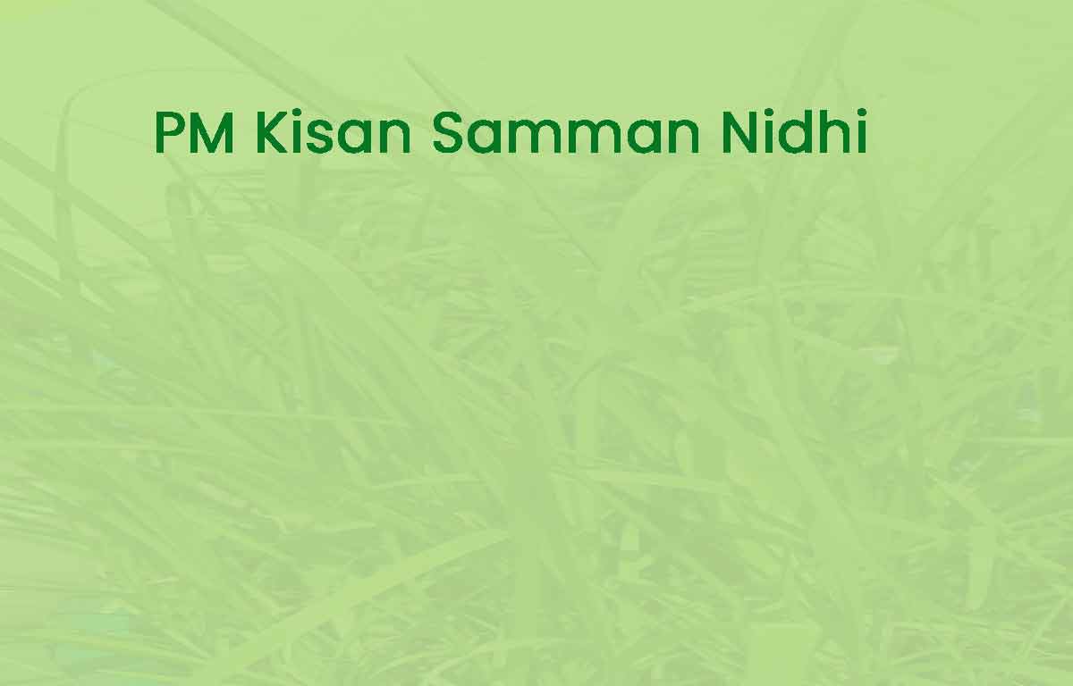 PM Kisan Samman Nidhi