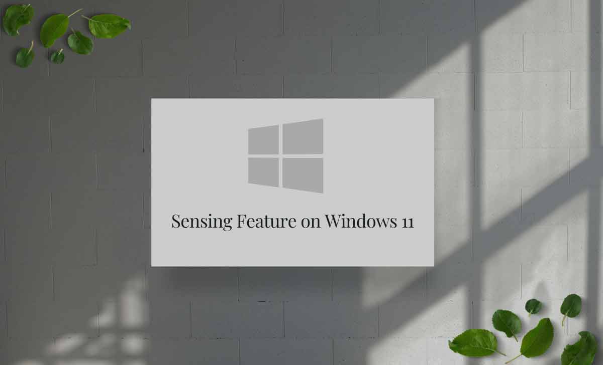 Presence Sensing Windows 11