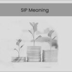SIP Meaning