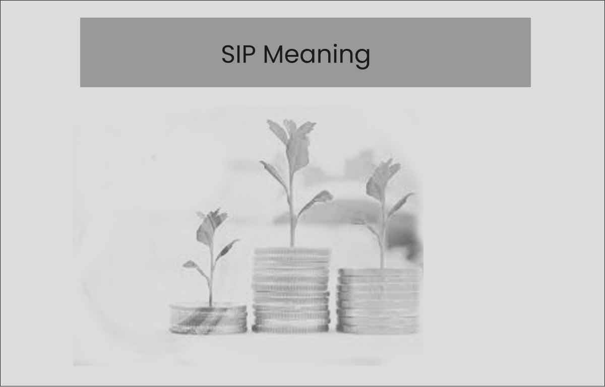 SIP Meaning