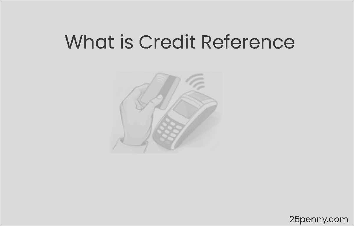 What is Credit Reference